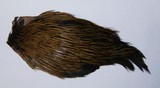 Indian Cock Neck Natural, small