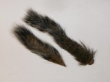 Squirrel tail Natural