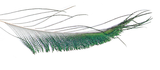 Peacock sword