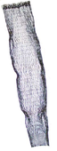 Vaihtohavas syvyys 100cm, Dida