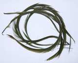 Goose Biot Strips