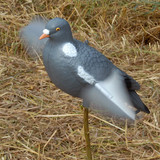 Tuulikyyhky, Live Pigeon