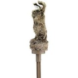 Kettukaave, Quiver Critter