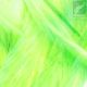 Saltwater neck hackle, Eumer