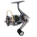 Siirry ryhmään Avokelat