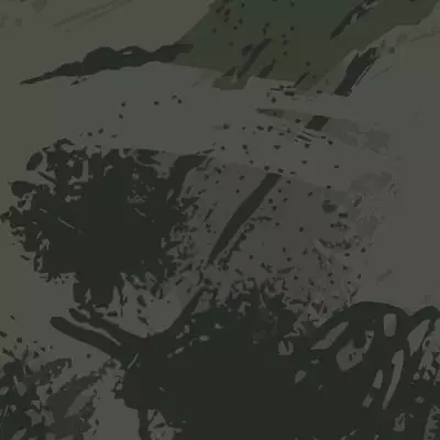 Nopea toimitukset koko suomeen 1006