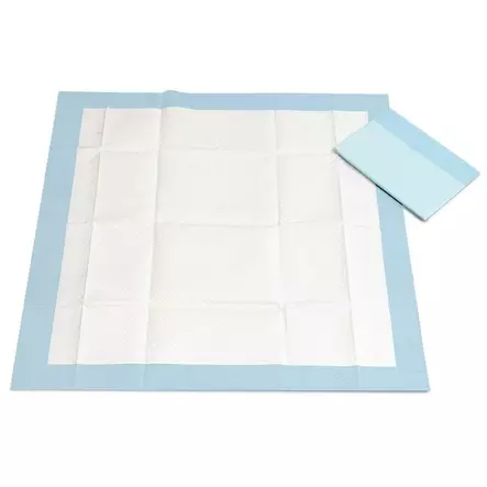 CanineCare Koiran pissa-alusta - Koiratarvikkeet - 6438411013830 - 2