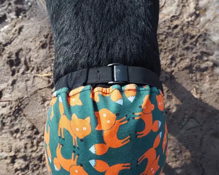 Kardog Lempi juoksuhousut, musta - Koiratarvikkeet - 20150588890 - 2