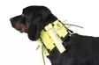 Kaulasuoja koiralle, Dogtech Neck - Koiratarvikkeet - 7350106051640 - 1
