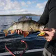 Rapala Snare 6cm 16g - Lusikat - SN50 - 2