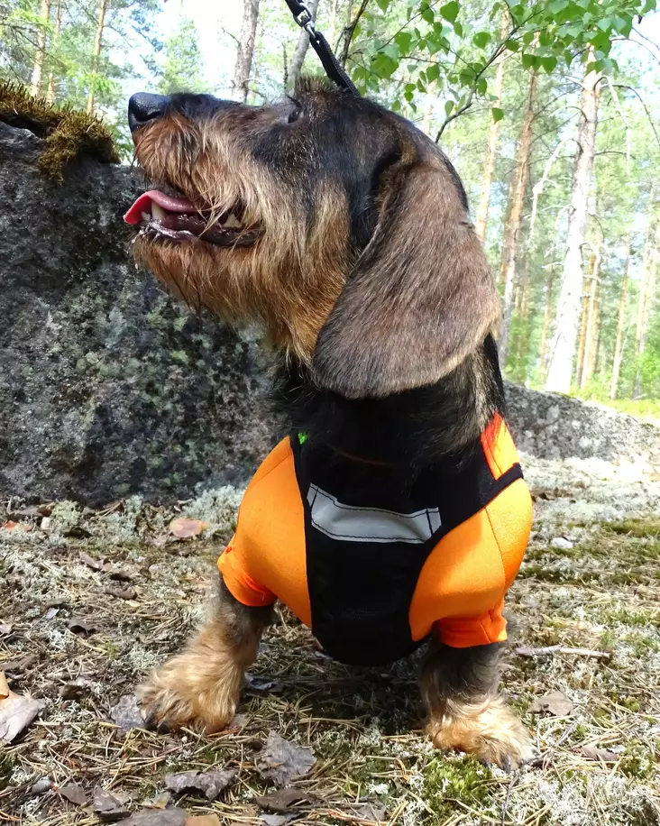 Kardog Lumi alusliivi - Koiratarvikkeet - 6430067784500 - 1