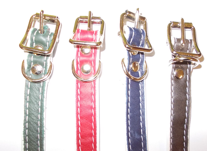 Kaulapanta 1,5x35cm - Koiratarvikkeet - 0699900008430 - 1