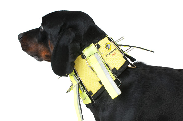Kaulasuoja koiralle, Dogtech Neck - Koiratarvikkeet - 7350106051640 - 1