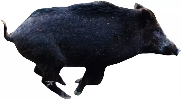 Targets ampumataulu, Pienoiskivääritaulu - Taulut ja taulutarvikkeet - 22-5130 - 1