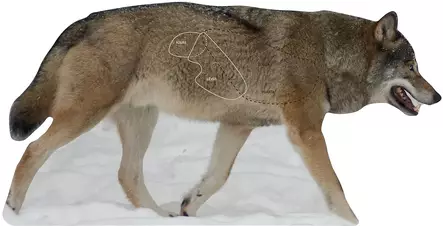 Targets ampumataulu, Susi sivusta - Taulut ja taulutarvikkeet - 0699914596399071 - 1