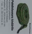 Kiväärin puhdistusnaru, Bore Cleaner - Aseenhoitotuotteet - 6430038644251 - 1