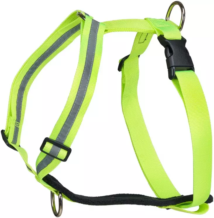 Finnero Salon, valjas - Koiratarvikkeet - 6438406005391 - 1