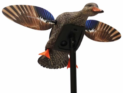 Mojo Robosorsa, Mini Mallard Hen - Houkutuskuvat - 0816740003931 - 1