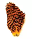Golden Pheasant Complete Tippet - Luonnolliset perhomateriaalit - 6430028182442 - 1