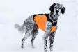 Non-Stop koiraliivi Hunting cover - Koiratarvikkeet - 707165201742 - 5