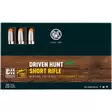 RWS 9,3x62 Driven hunt 16,2g / 250gr - RWS - 4000294307812 - 1