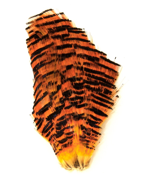 Golden Pheasant Complete Tippet - Luonnolliset perhomateriaalit - 6430028182442 - 1