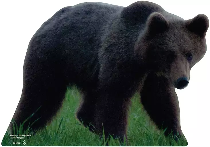 Targets ampumataulu, Karhun pentu - Taulut ja taulutarvikkeet - 22-5122 - 1