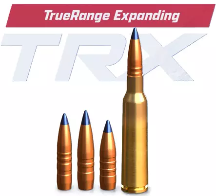 Lapua 30-06 Spr. 10,7g TRX - Lapua - 6418267103923 - 1