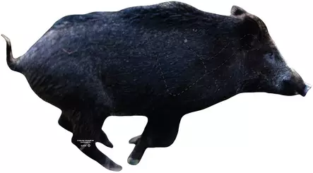 Targets ampumataulu, Villisika juokseva - Taulut ja taulutarvikkeet - 0699914596399063 - 1