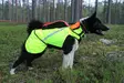 Kardog Pure Kevlar takaosa - Koiratarvikkeet - 643006778393 - 3