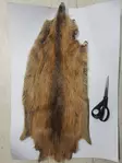 Nutria, kokonainen nahka - Luonnolliset perhomateriaalit - 0699901459453 - 2