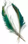 Veniard, Peacock Sword Tails - Luonnolliset perhomateriaalit - 005352604203 - 2