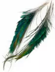 Veniard, Peacock Sword Tails - Luonnolliset perhomateriaalit - 005352604203 - 1