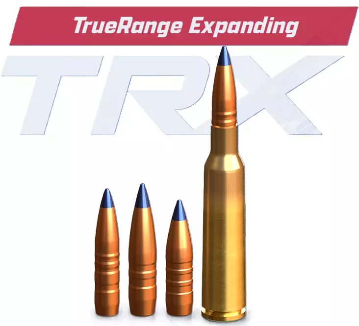 Lapua 30-06 Spr. 10,7g TRX - Lapua - 6418267103923 - 1