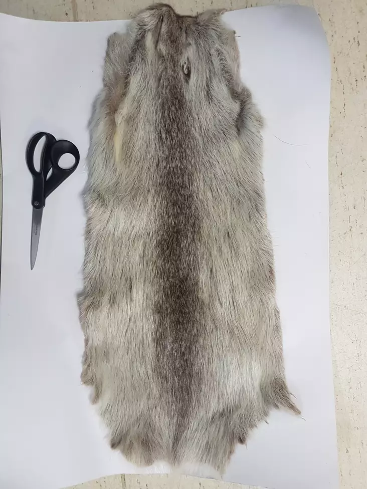 Nutria, kokonainen nahka - Luonnolliset perhomateriaalit - 0699901459453 - 1