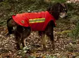 Susiraudat, Dogtech One, L-koko - Koiratarvikkeet - 7350106055224 - 4
