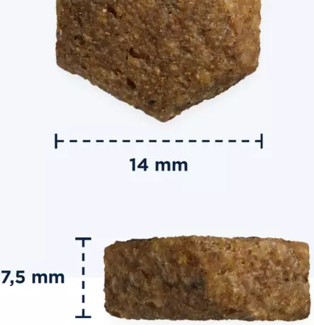 Eukanuba Working & Endurance 15kg - Eukanuba koiranruoka - 8710255121345 - 2