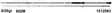 Abu Garcia Ike Signature 6' 8-28g, avo - Avokelavavat - 036282975415 - 1