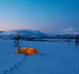 Fjällräven Polar Endurance 3, teltta - Fjällräven teltat ja makuupussit - 7323450260415 - 6
