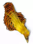 Golden Pheasant Complete Head - Luonnolliset perhomateriaalit - 6430028182435 - 1