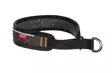 Non-Stop Rock Collar, koiran kaulapanta - Koiratarvikkeet - 7071652015555 - 1