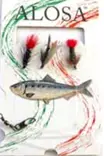 Perholitka, Wet Fly - Valmisperhot - 6430010610885 - 1