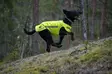 Suojaliivi, Dogtech One - Koiratarvikkeet - 7350106051645 - 5
