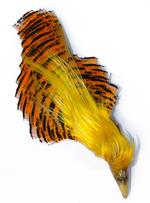 Golden Pheasant Complete Head - Luonnolliset perhomateriaalit - 6430028182435 - 1