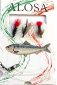 Perholitka, Wet Fly - Valmisperhot - 6430010610885 - 1