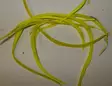 Fluo Keltainen - Luonnolliset perhomateriaalit - 6430028181636 - 5