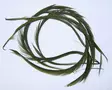 Olive - Luonnolliset perhomateriaalit - 6430028181636 - 1