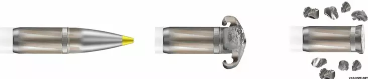 RWS 300 Win. Mag Evolutio 8,8g/136gr - RWS - 4000294183256 - 1