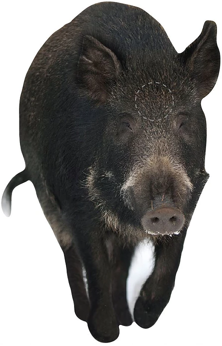 Targets ampumataulu, Emakko edestä - Taulut ja taulutarvikkeet - 22-5106 - 1