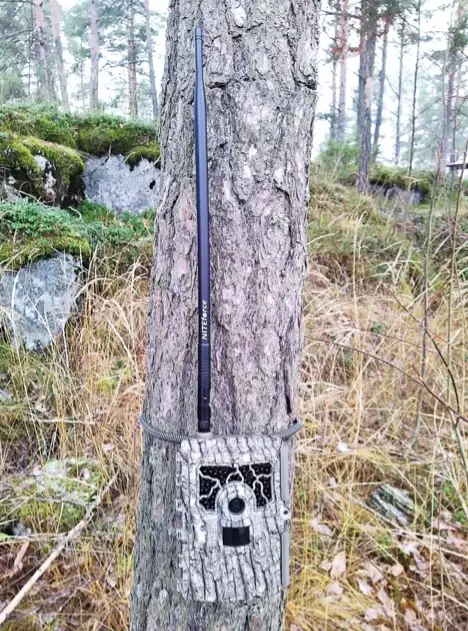 Tehoantenni riistakameraan 39cm - Riistakamerat - 6430061582216 - 1